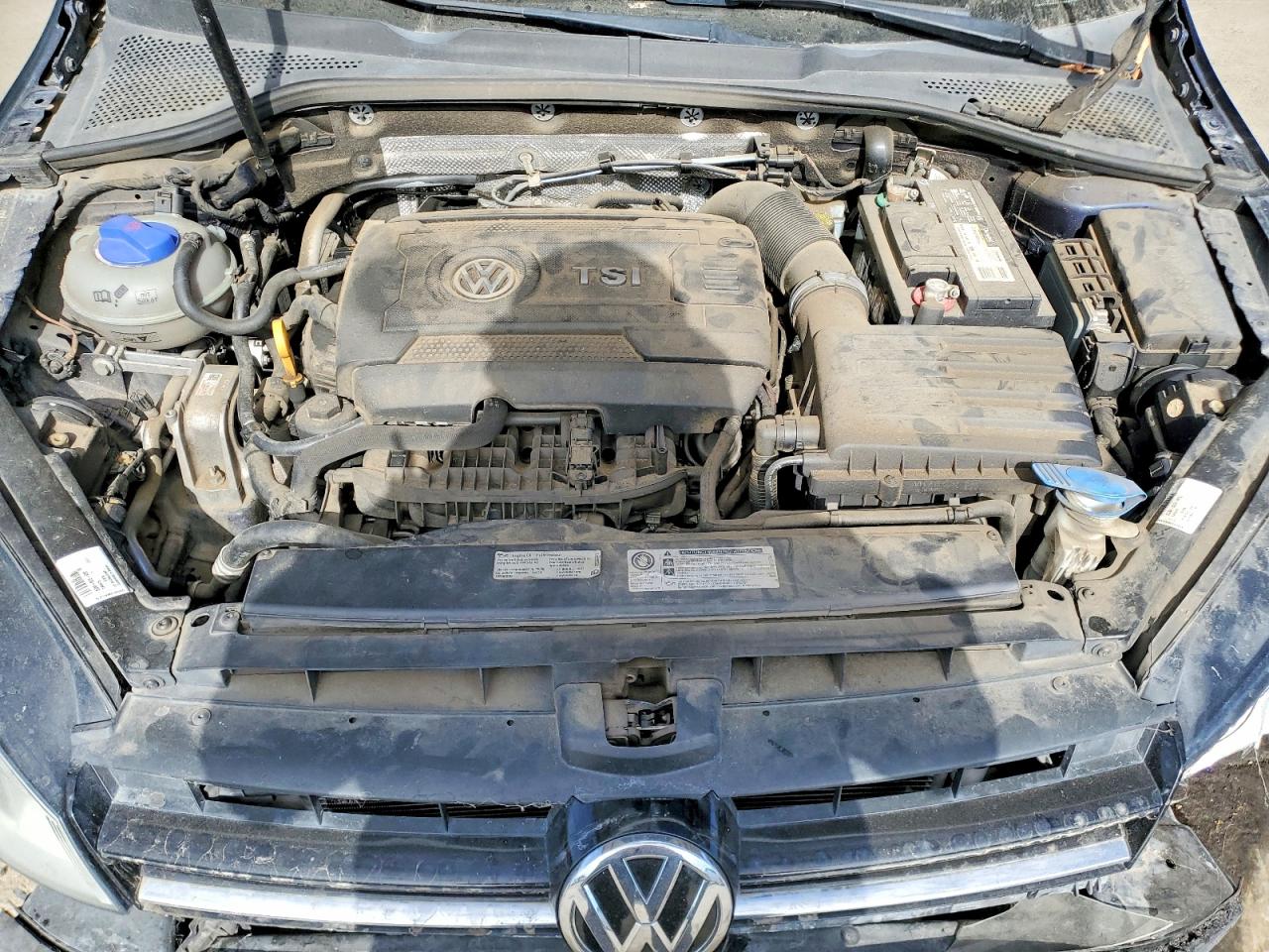 2015 VOLK GOLF