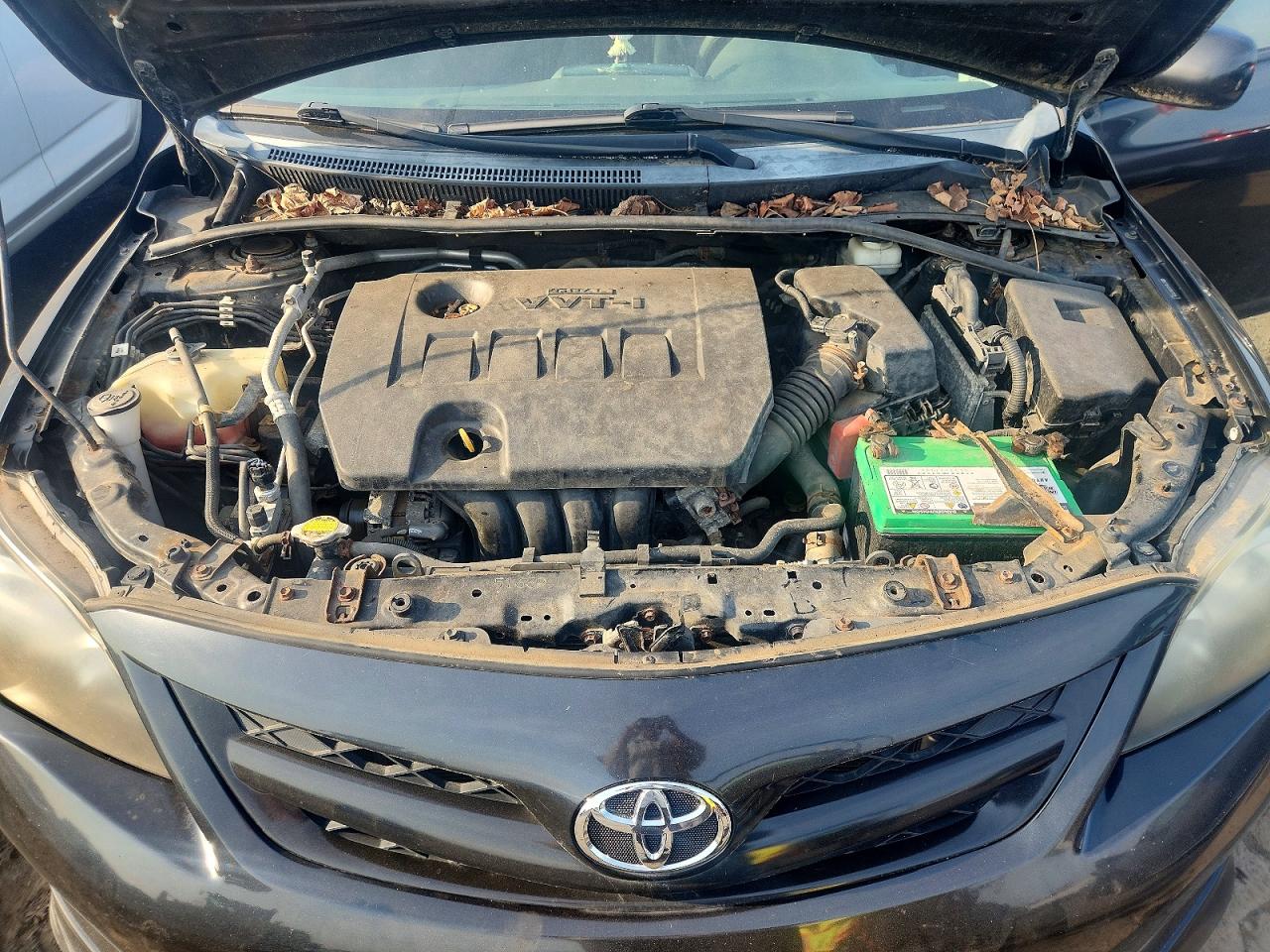 2011 TOYOTA COROLLA