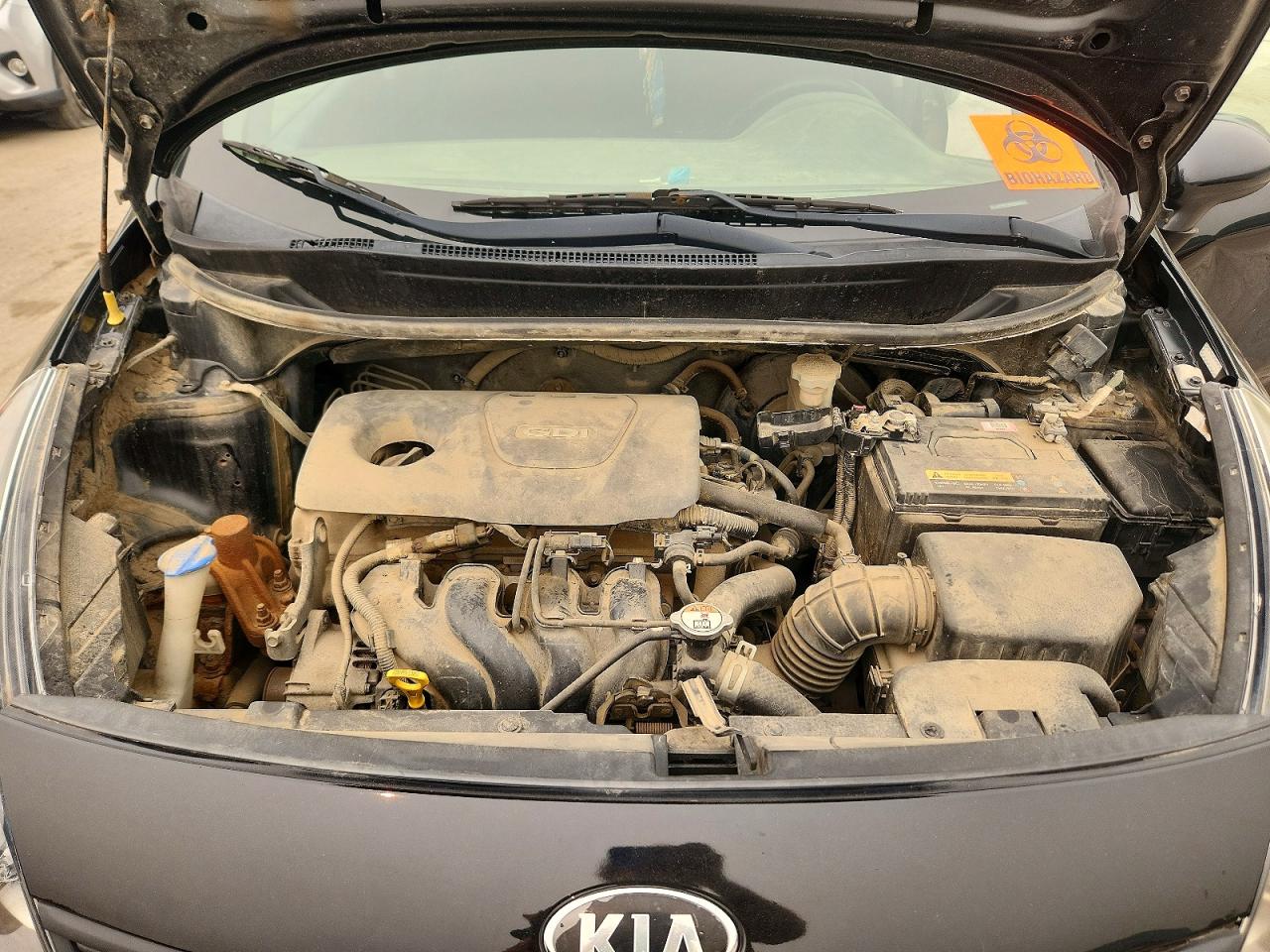 2017 KIA RIO