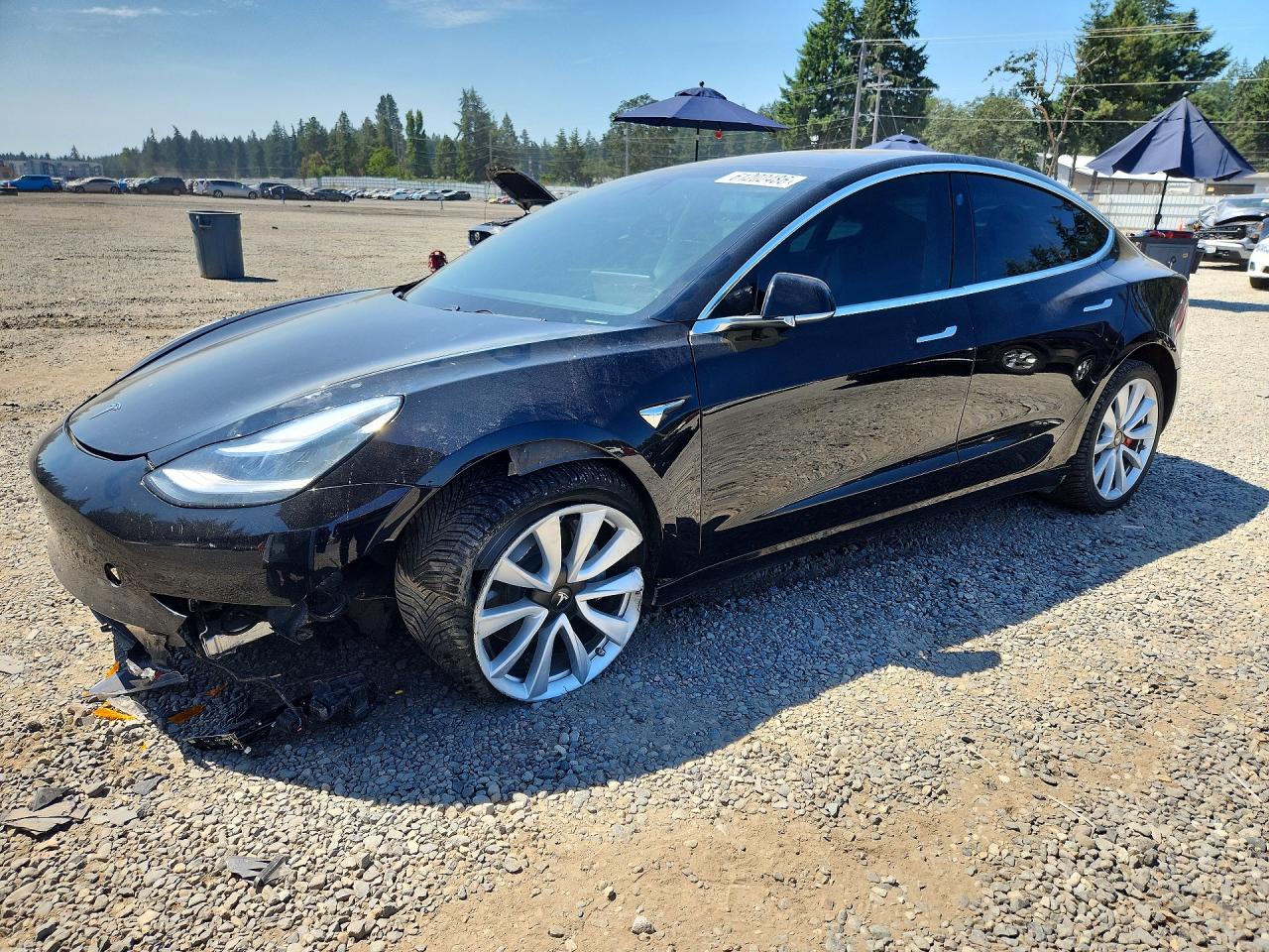 2019 TESLA MODEL 3