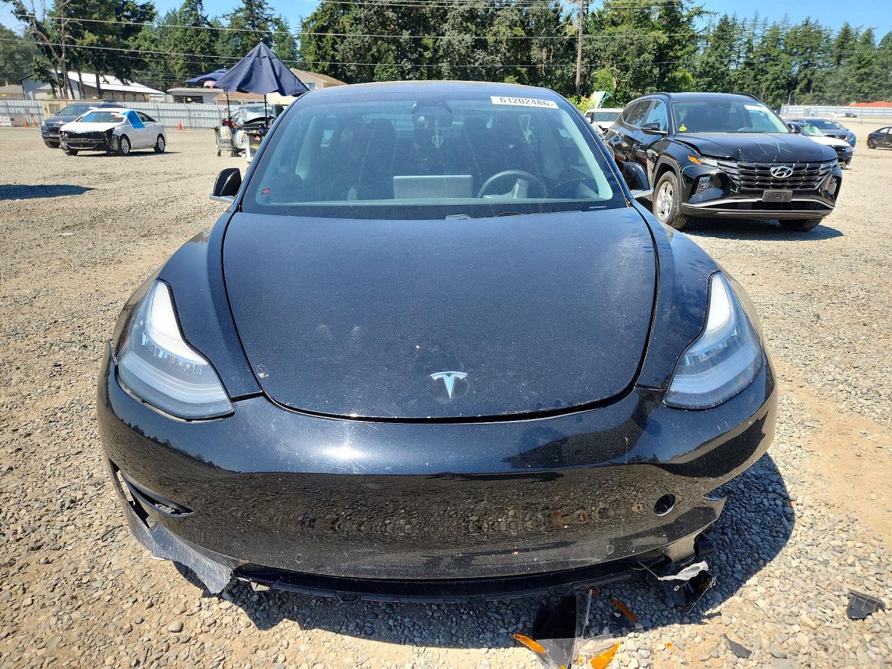 2019 TESLA MODEL 3