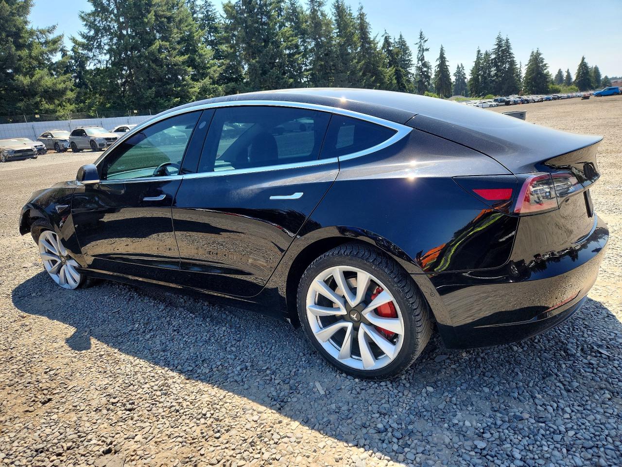 2019 TESLA MODEL 3