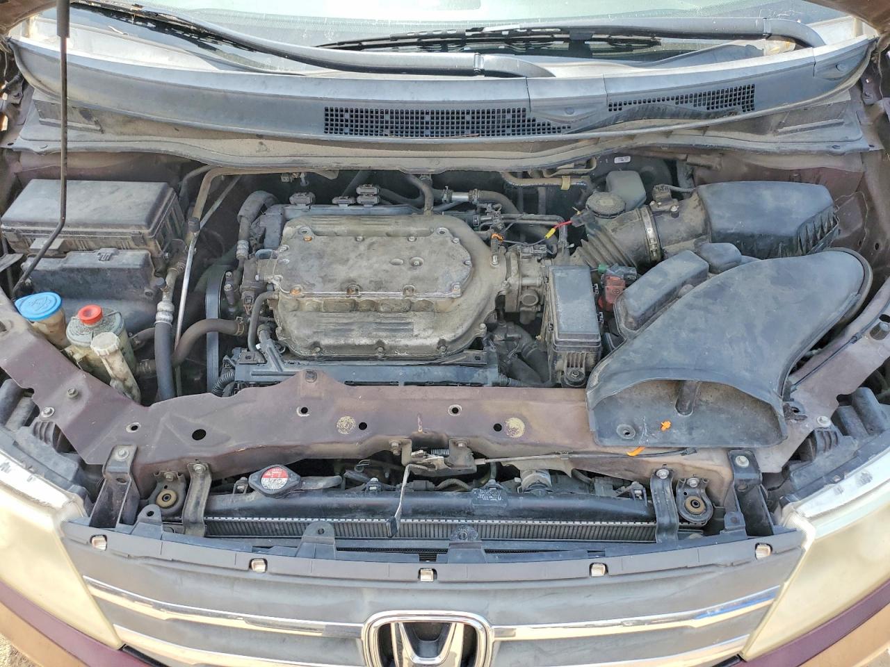2011 HONDA All Models