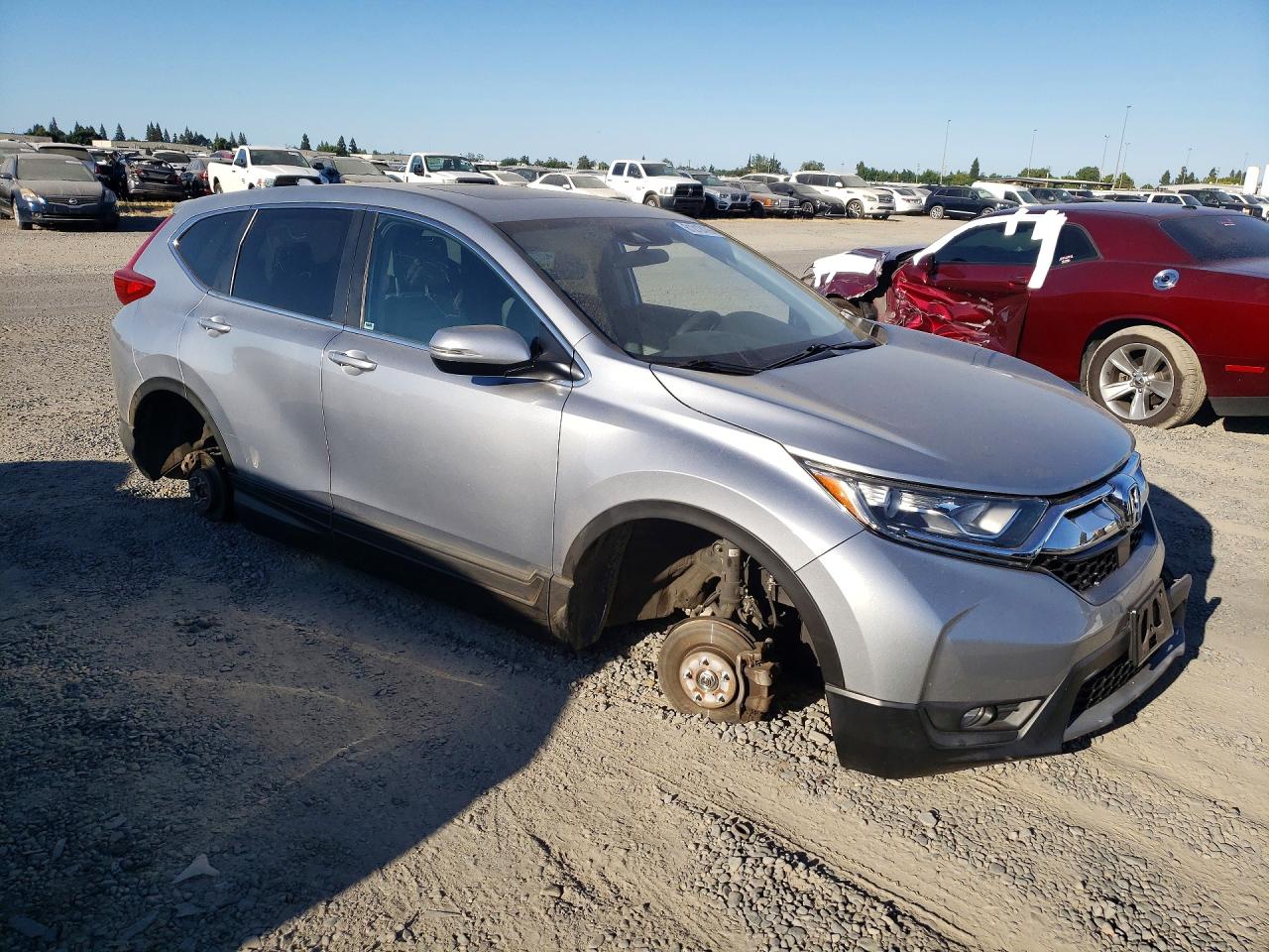2019 HONDA CRV