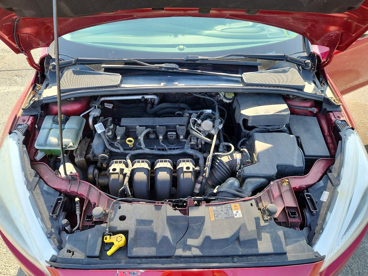 2016 FORD FOCUS