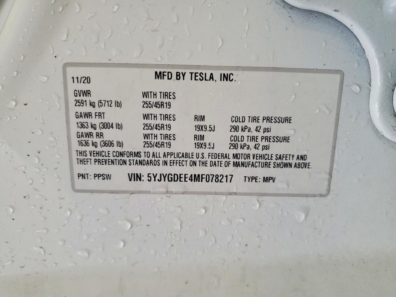 2021 TESLA MODEL Y