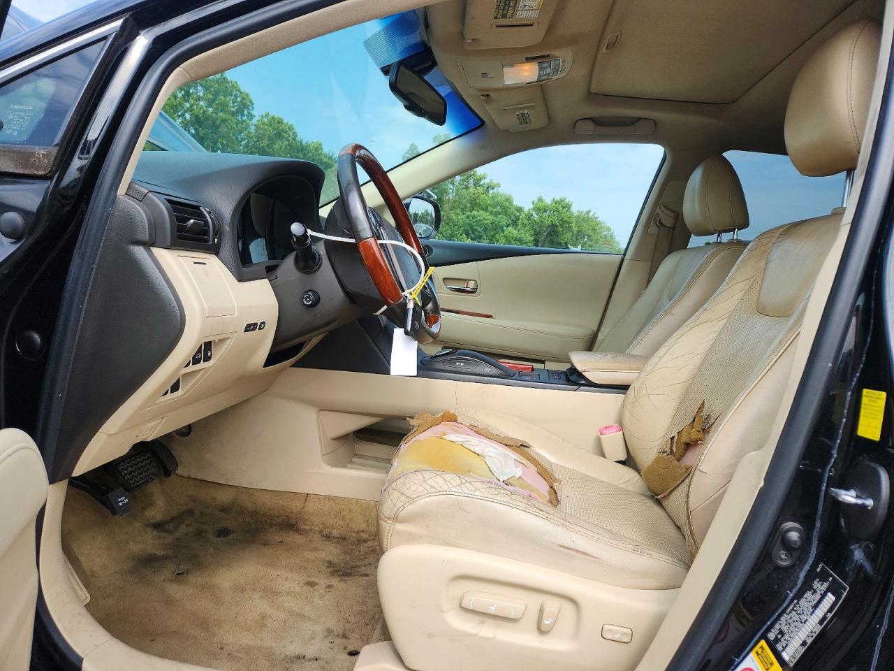 2010 LEXUS RX450