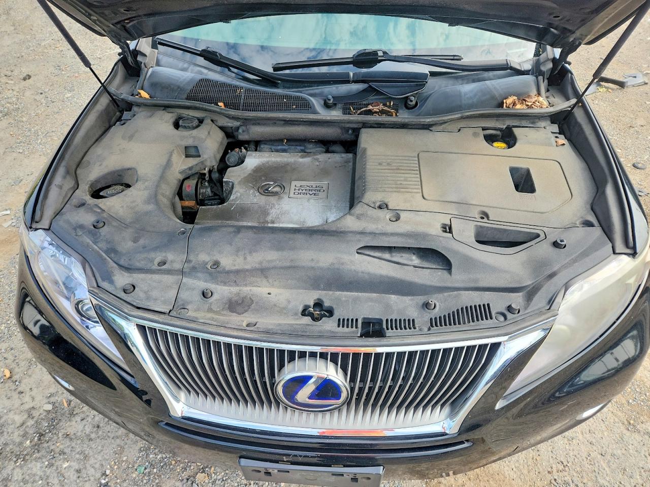 2010 LEXUS RX450