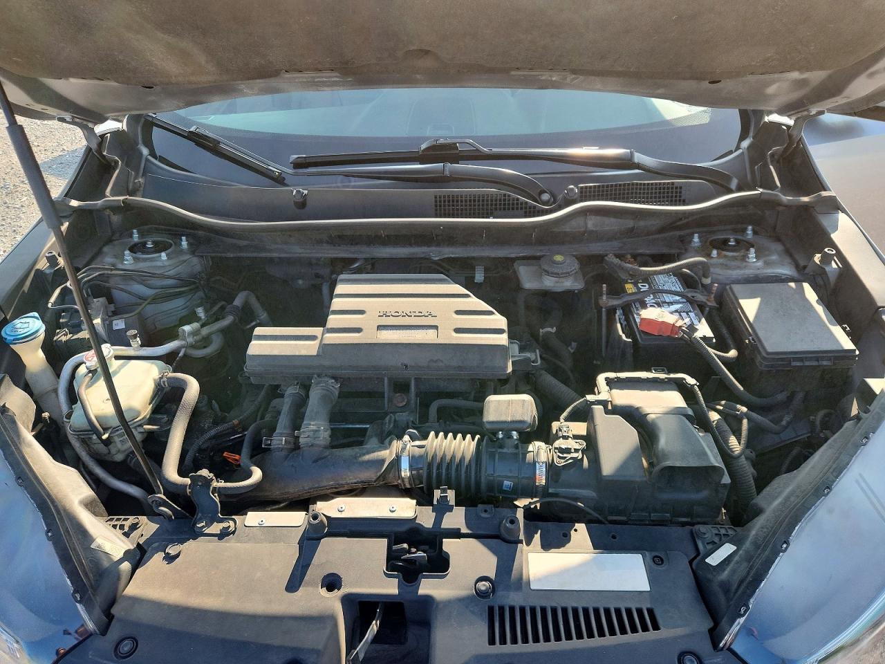 2019 HONDA CRV
