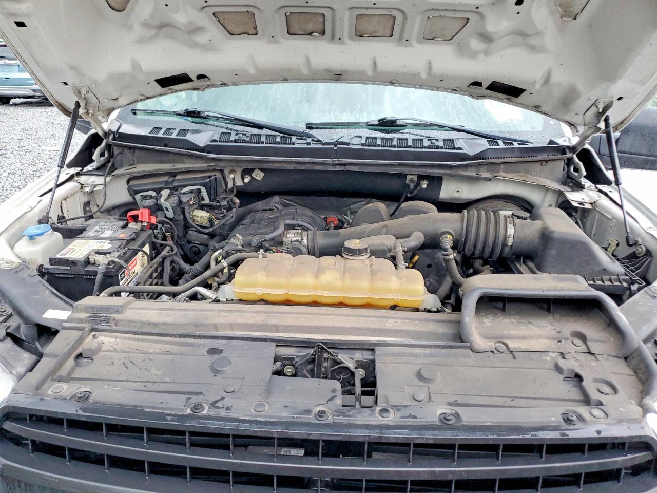 2019 FORD F150