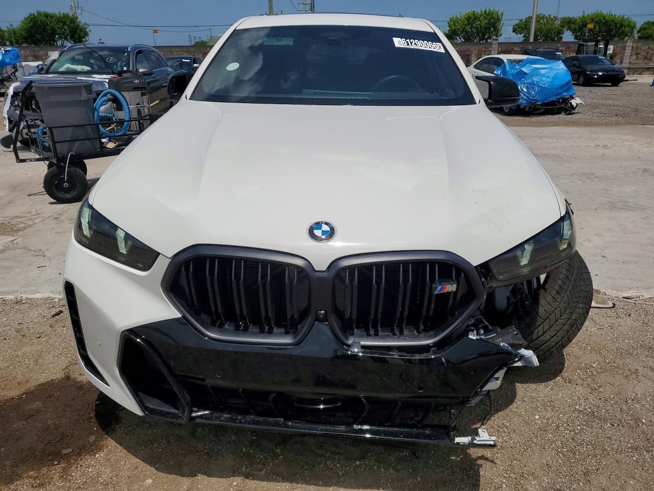 2026 BMW X6