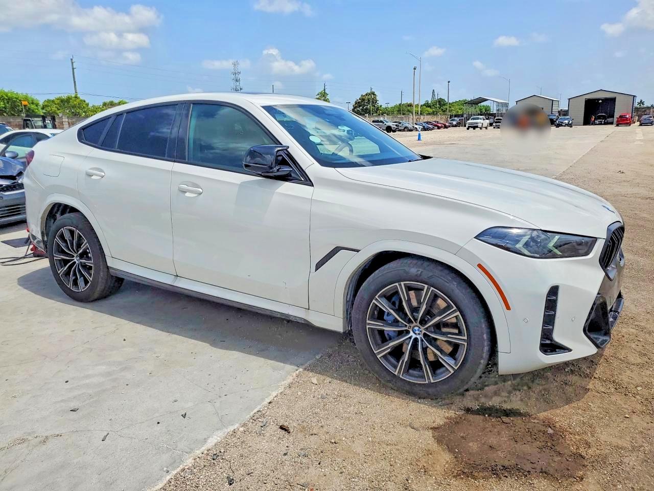 2026 BMW X6