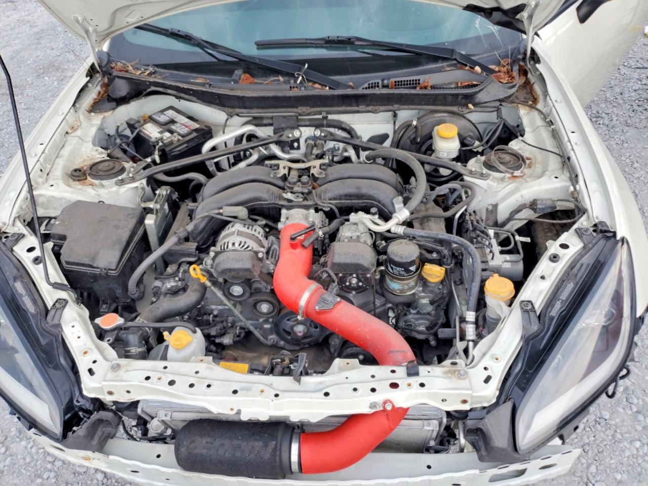 2023 TOYOTA ALL OTHER