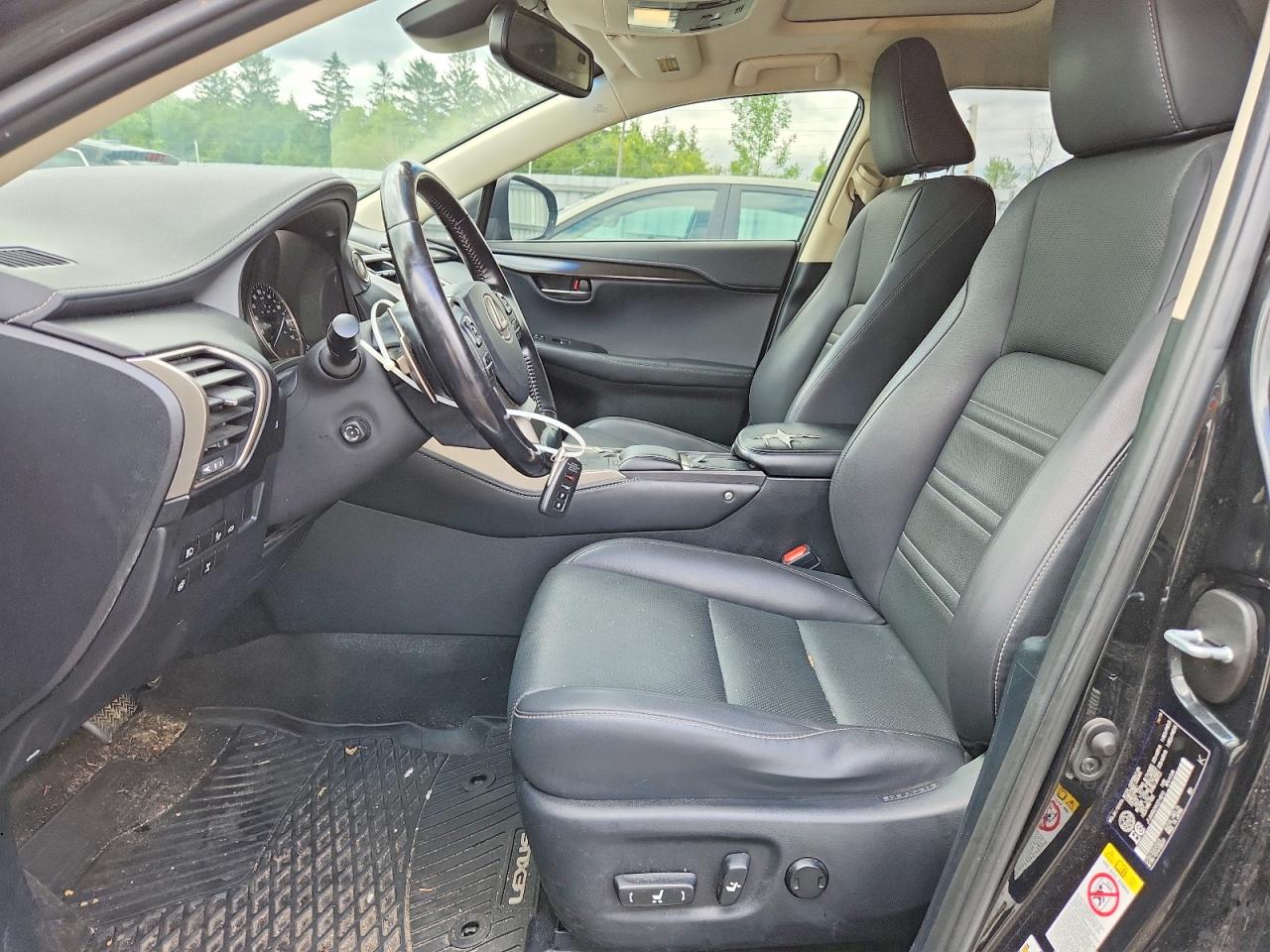 2019 LEXUS NX