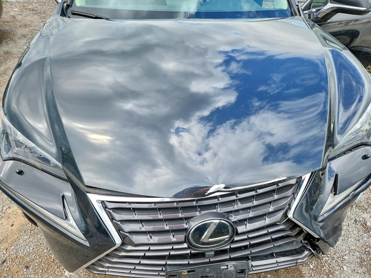 2019 LEXUS NX