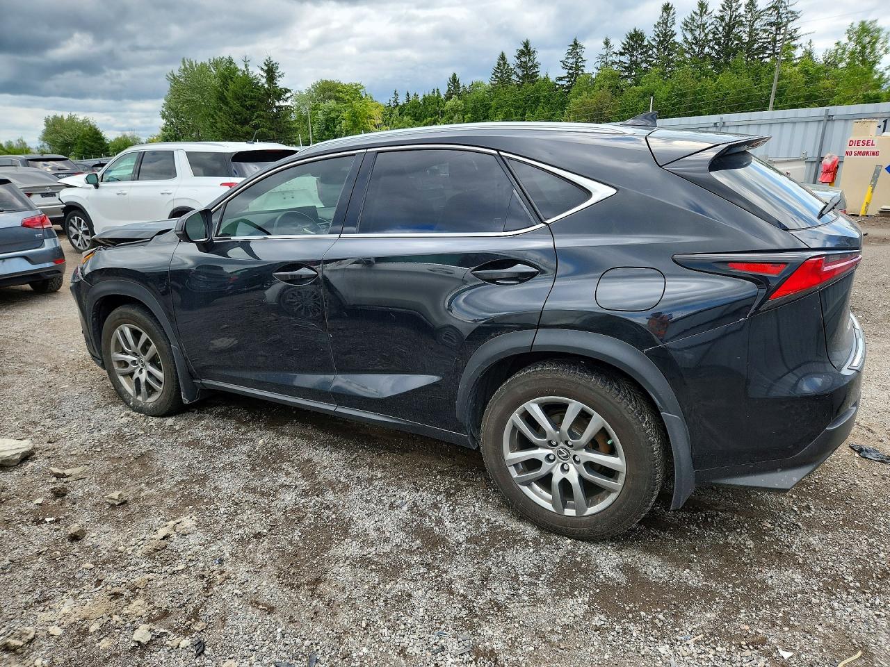 2019 LEXUS NX