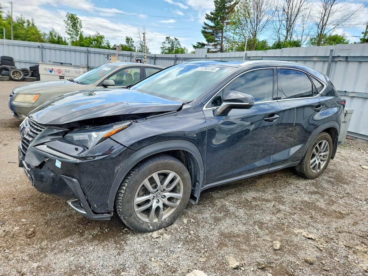 2019 LEXUS NX