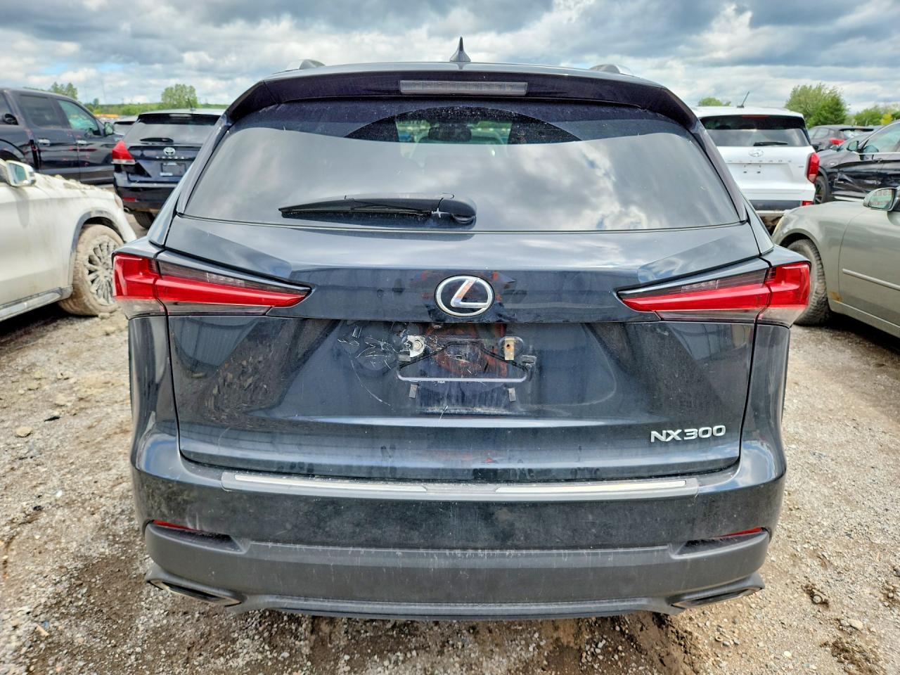 2019 LEXUS NX