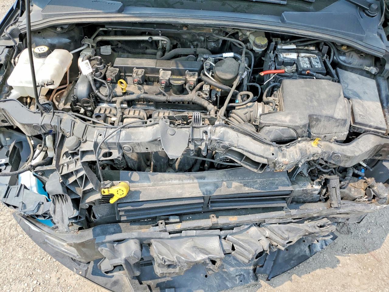 2014 FORD FOCUS