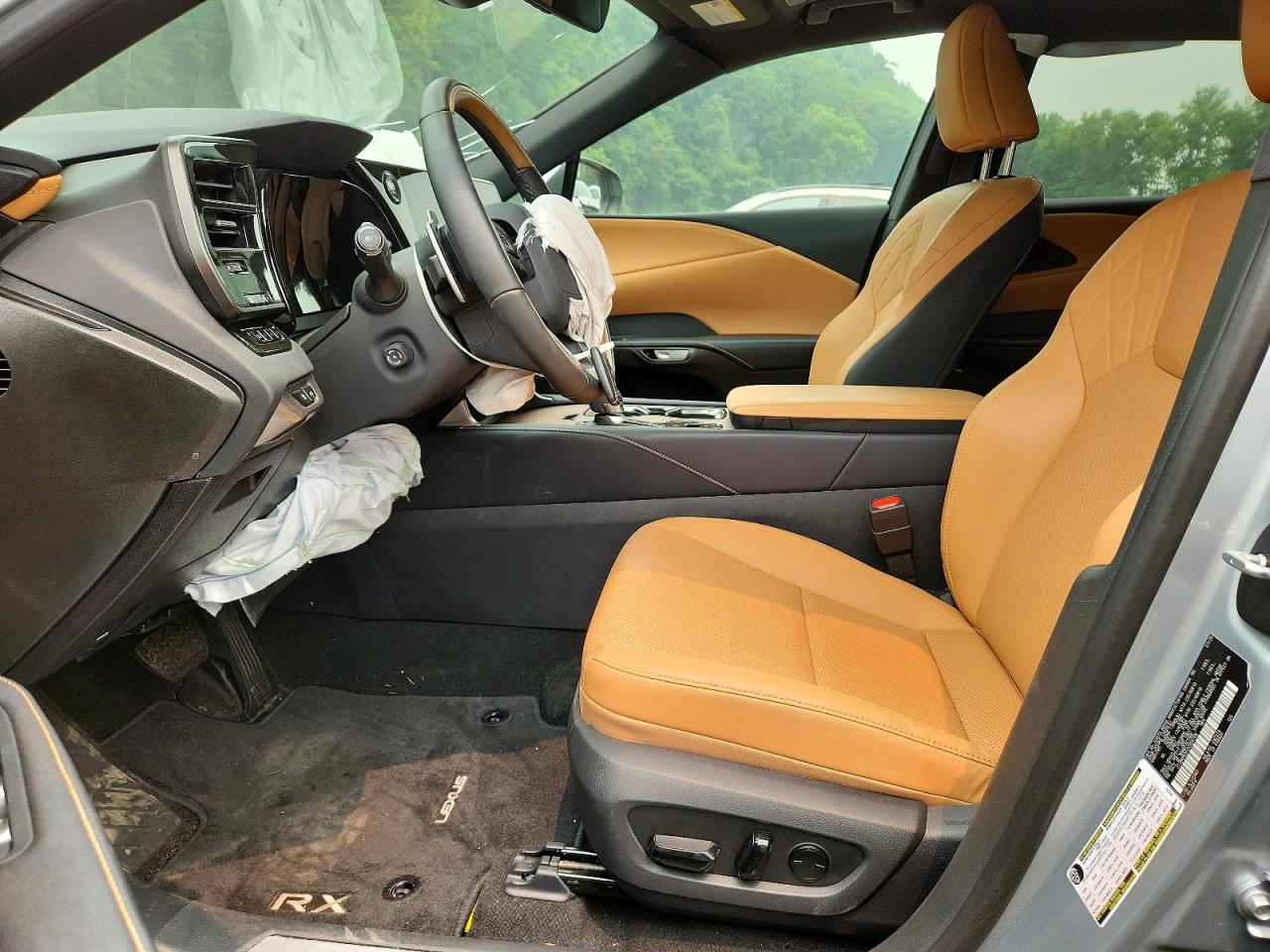 2025 LEXUS RX350