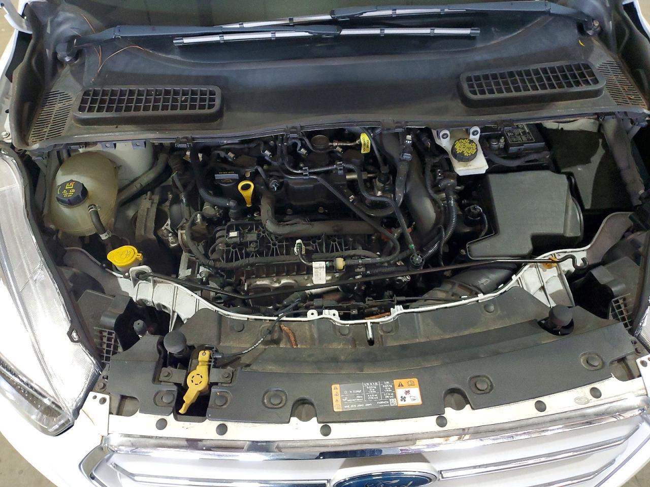 2019 FORD ESCAPE