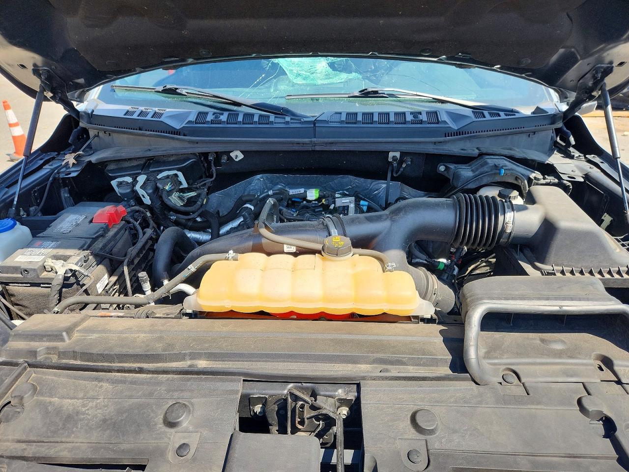 2019 FORD F150