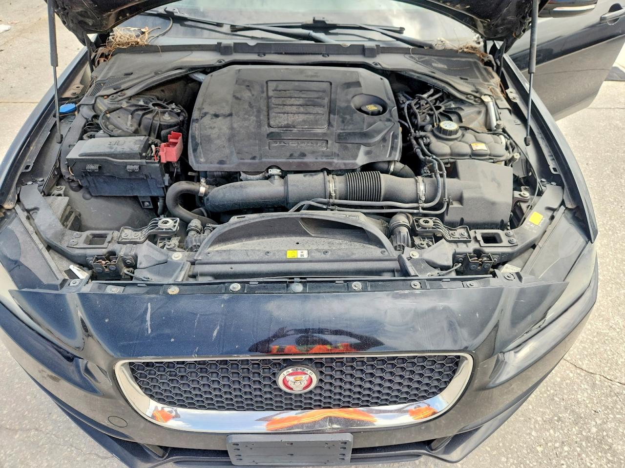 2018 JAGUAR XE