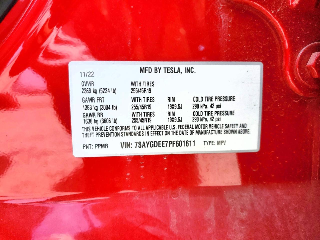 2023 TESLA MODEL Y