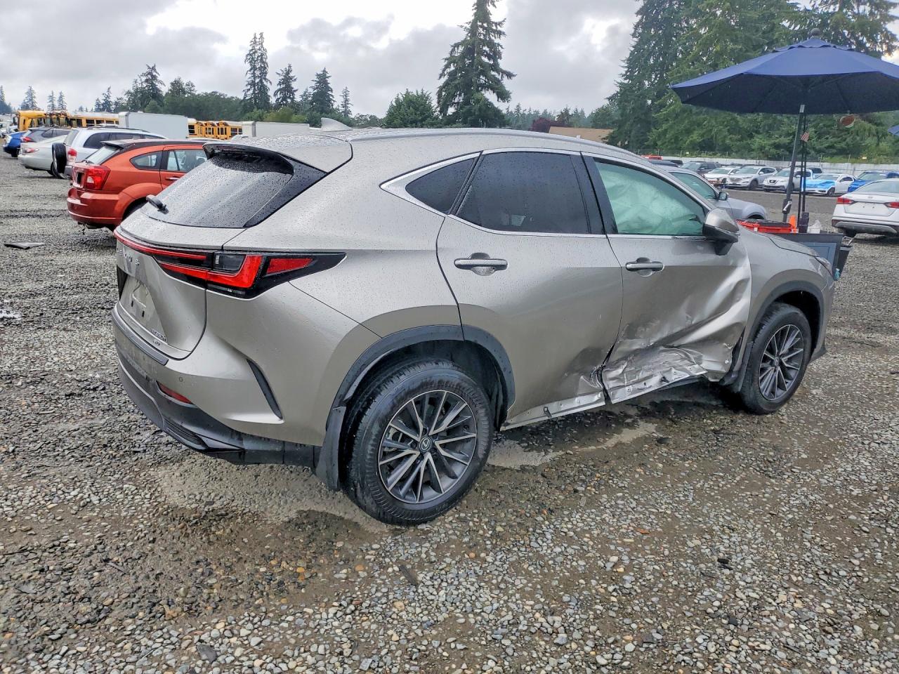 2024 LEXUS NX