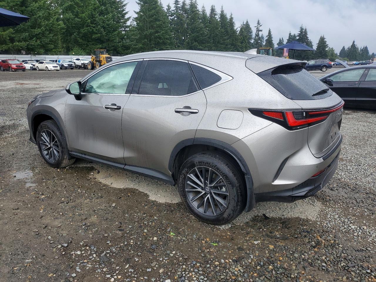 2024 LEXUS NX