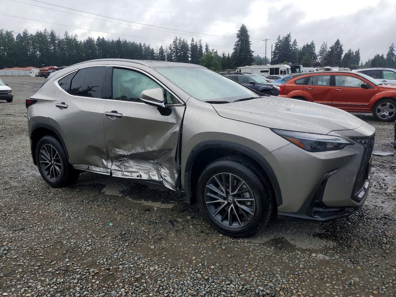 2024 LEXUS NX