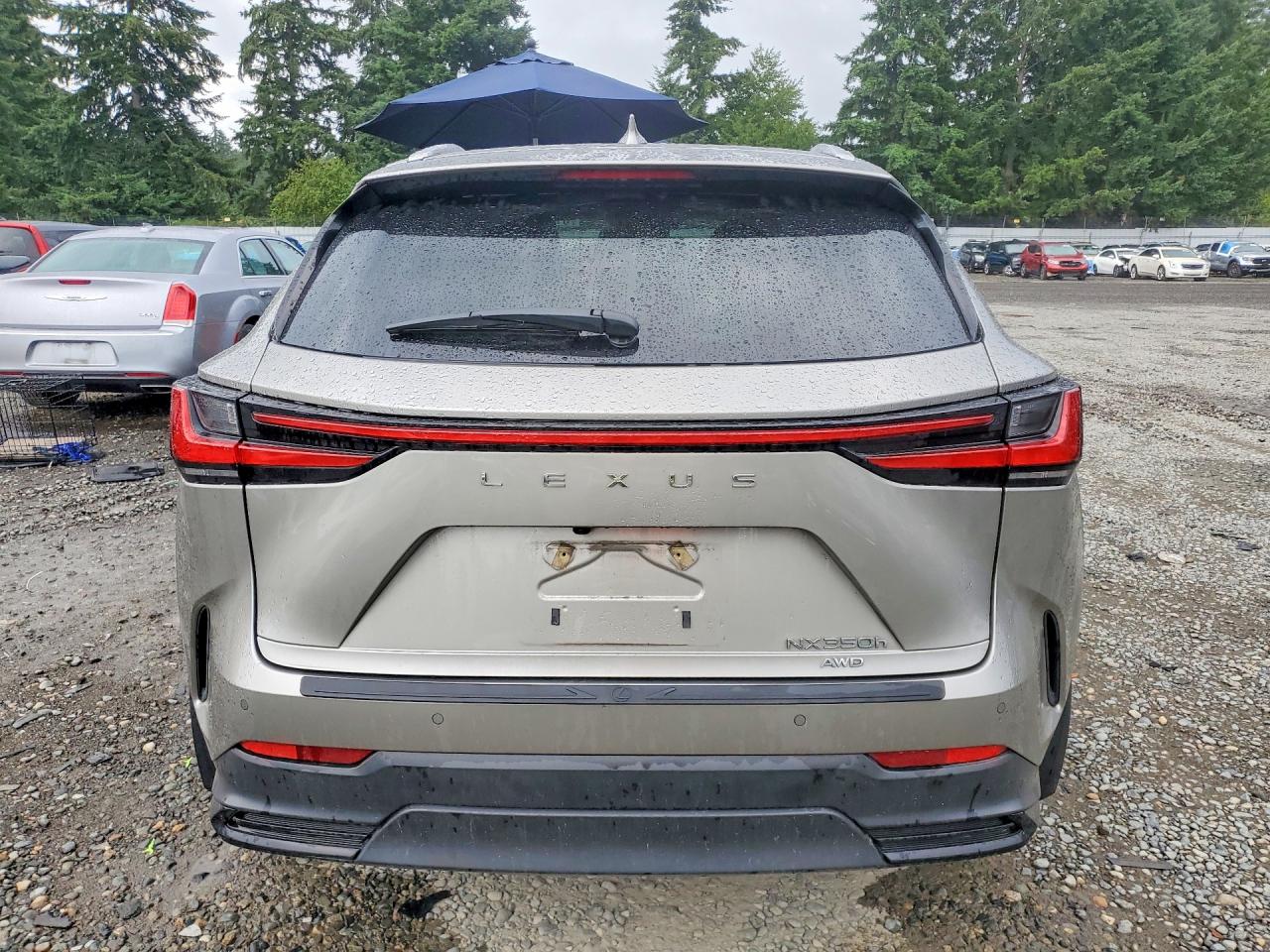 2024 LEXUS NX