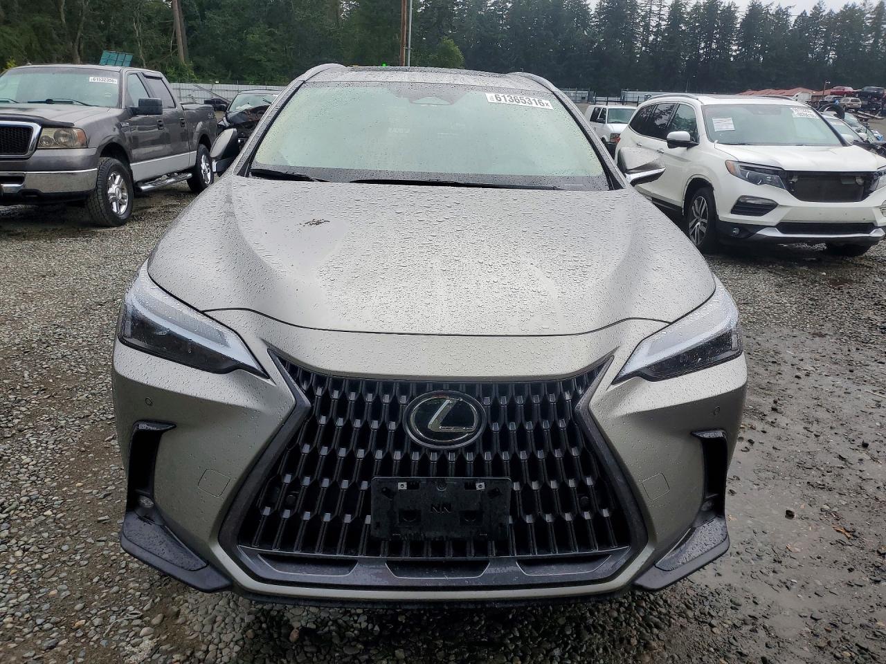 2024 LEXUS NX