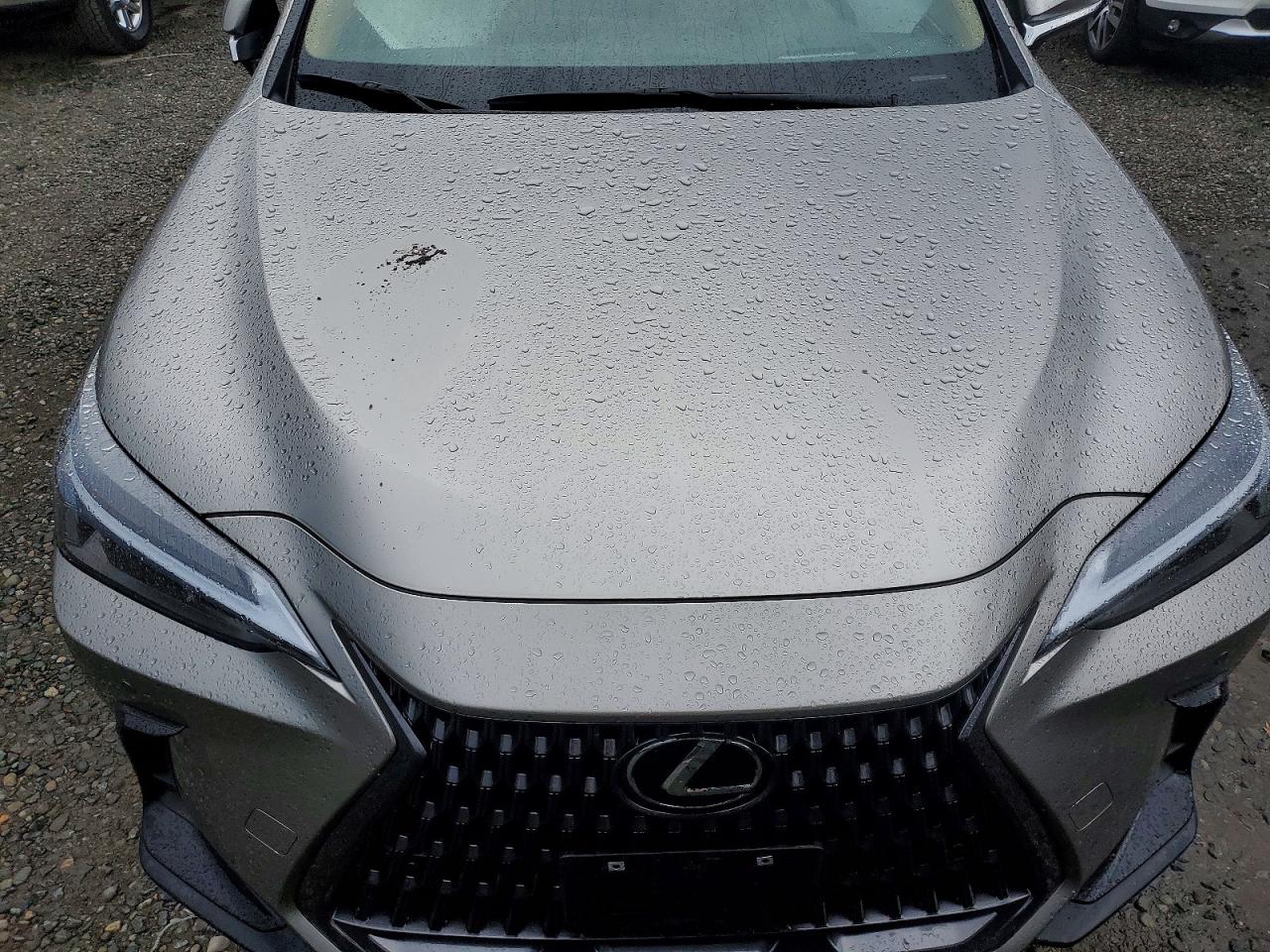 2024 LEXUS NX