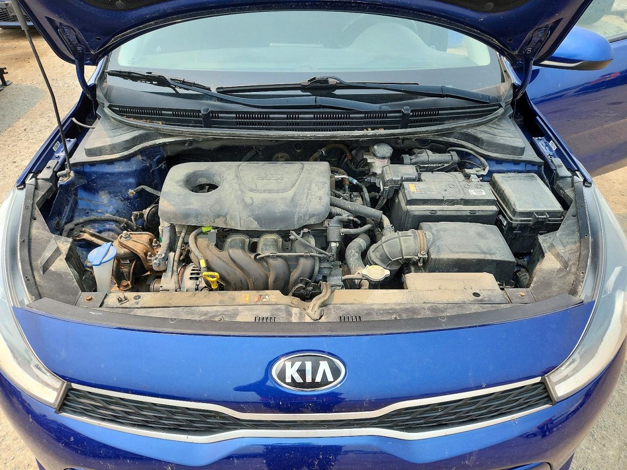 2019 KIA RIO