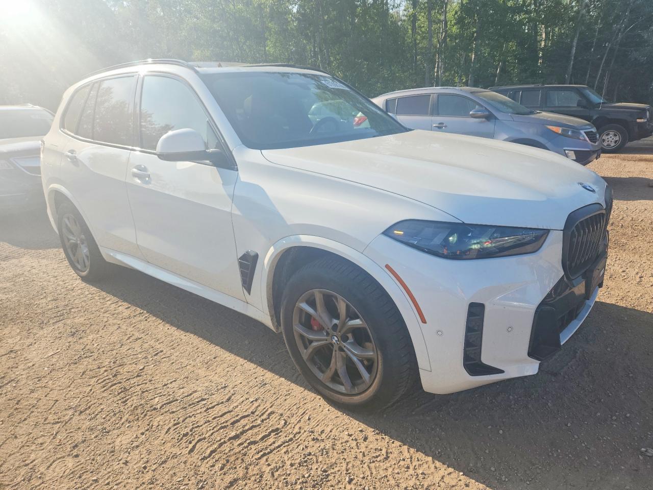2024 BMW X5