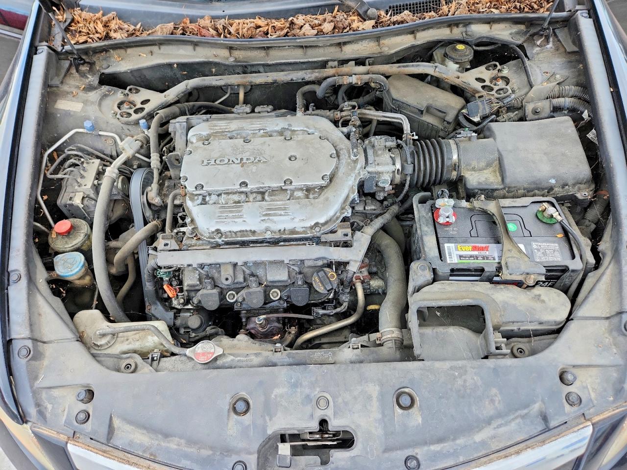 2011 HONDA ACCORD