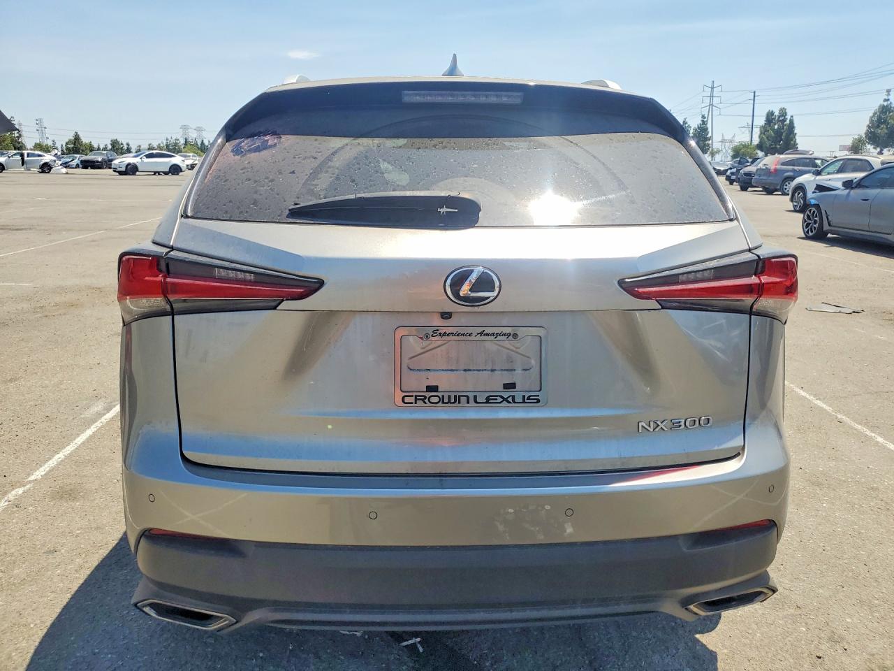 2019 LEXUS NX