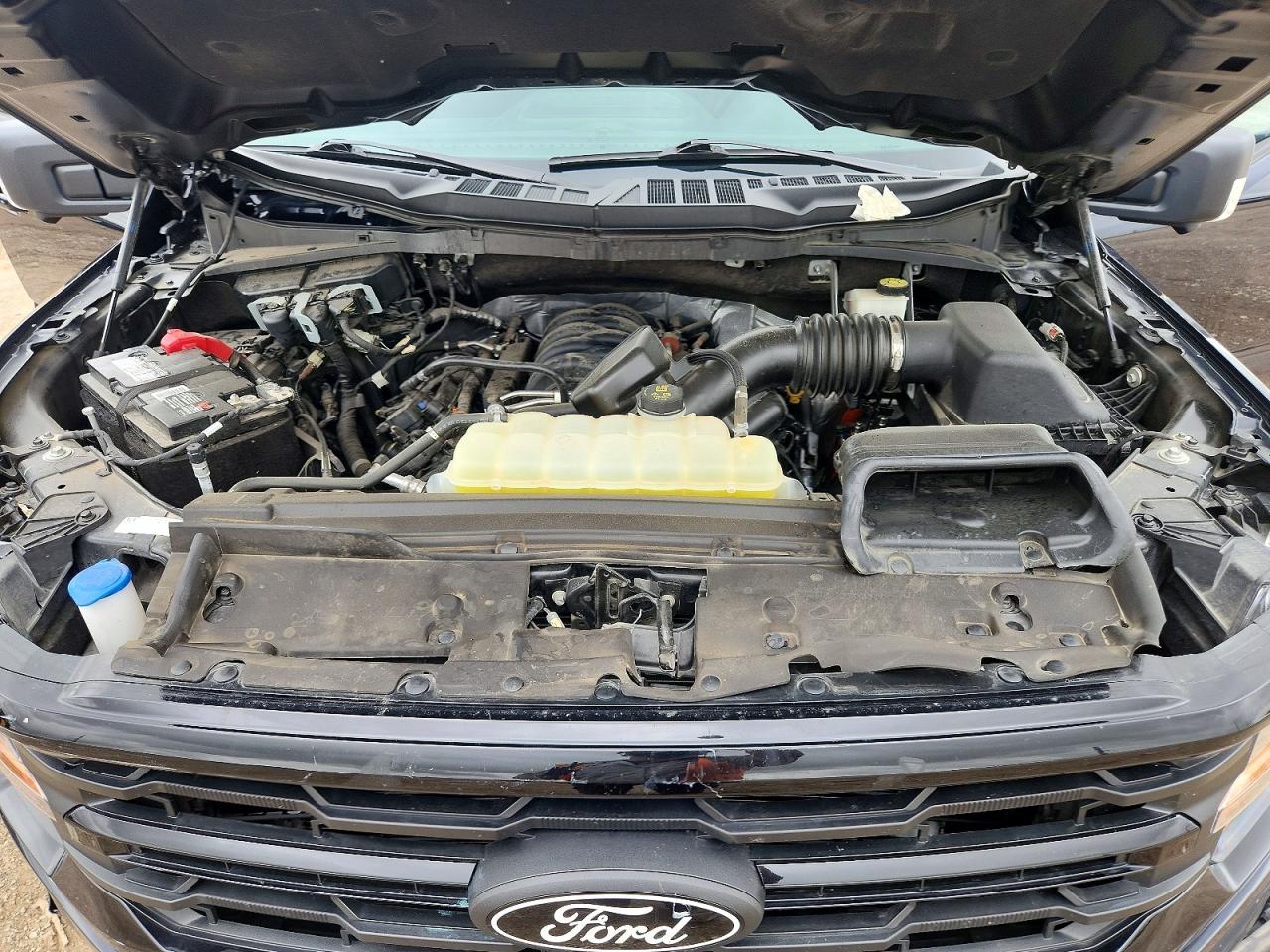 2024 FORD F150