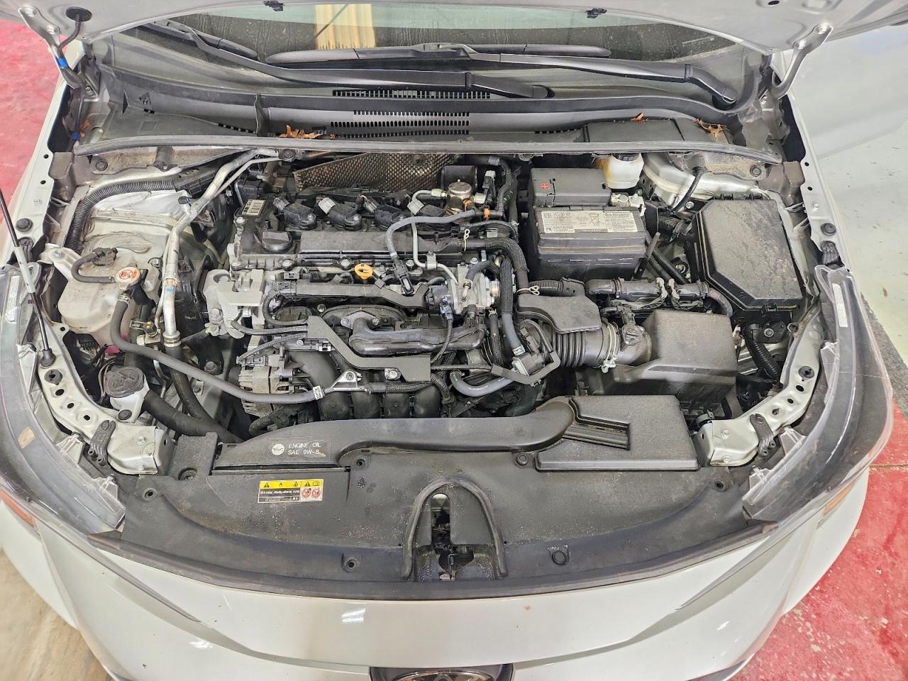 2025 TOYOTA COROLLA