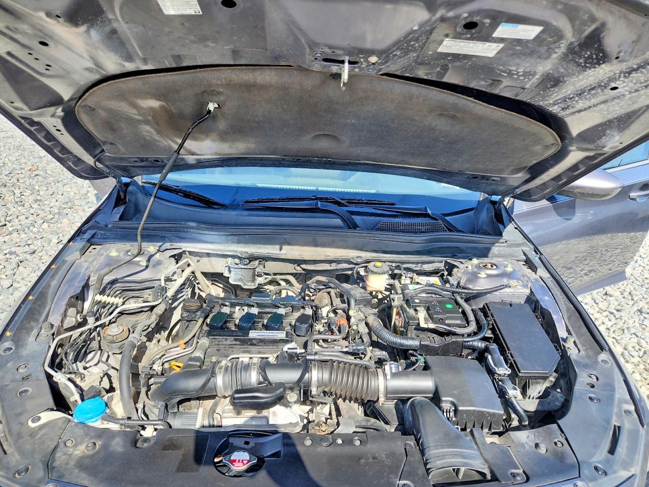 2019 HONDA ACCORD