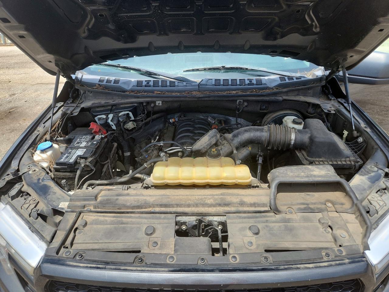 2019 FORD F150