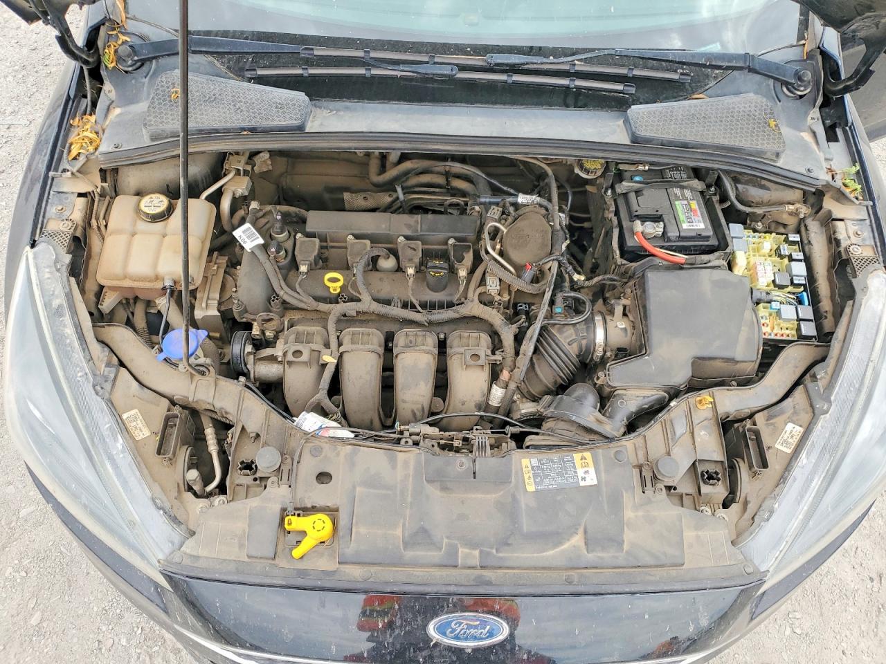 2016 FORD FOCUS