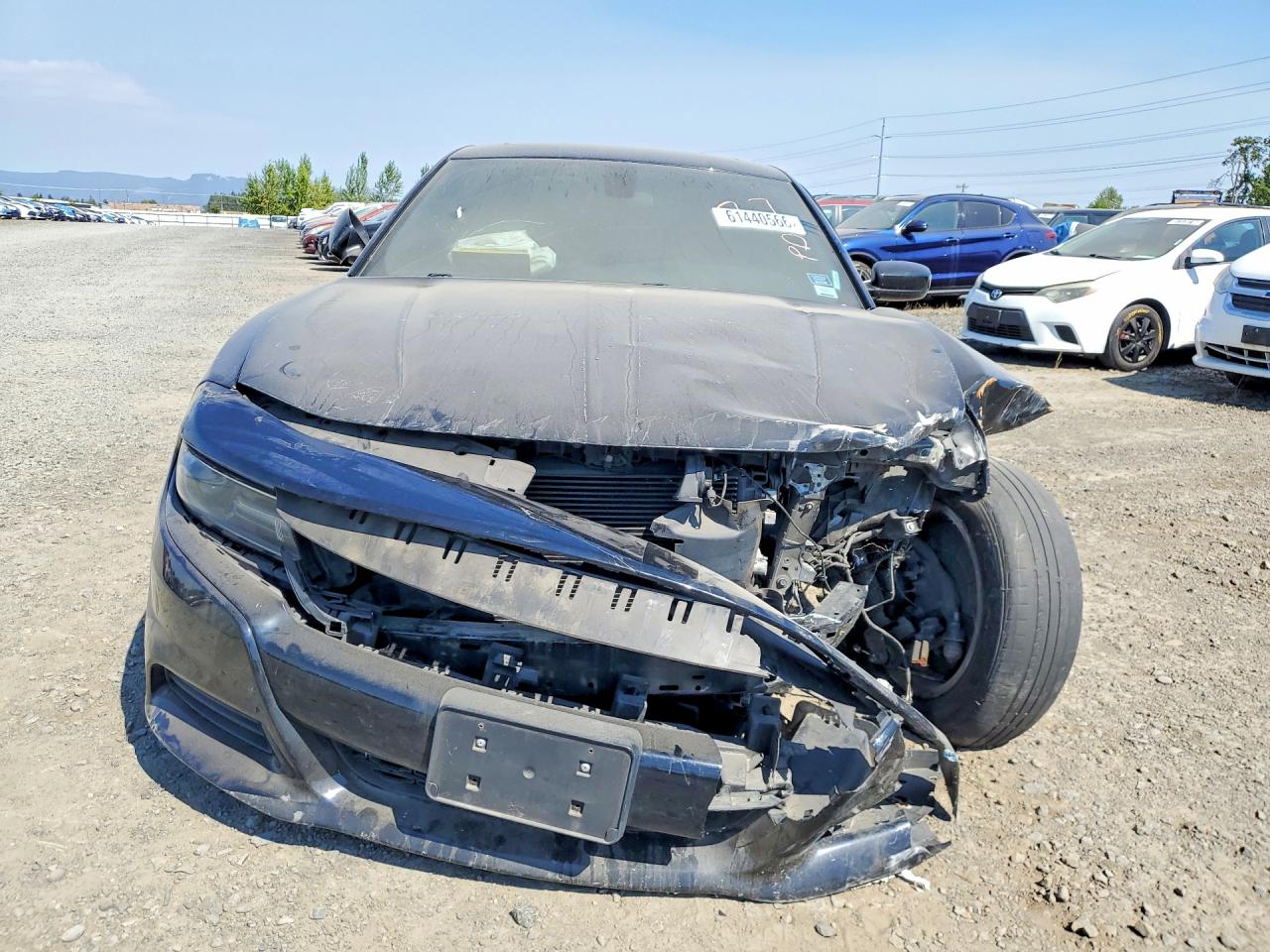 2019 DODGE CHARGER