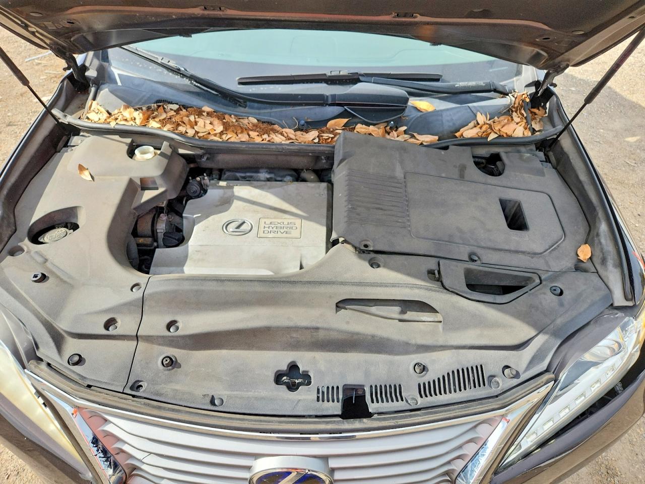 2013 LEXUS RX450
