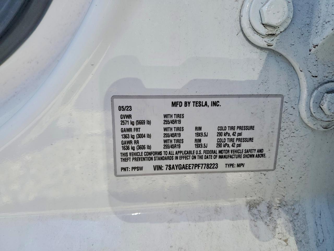 2023 TESLA MODEL Y