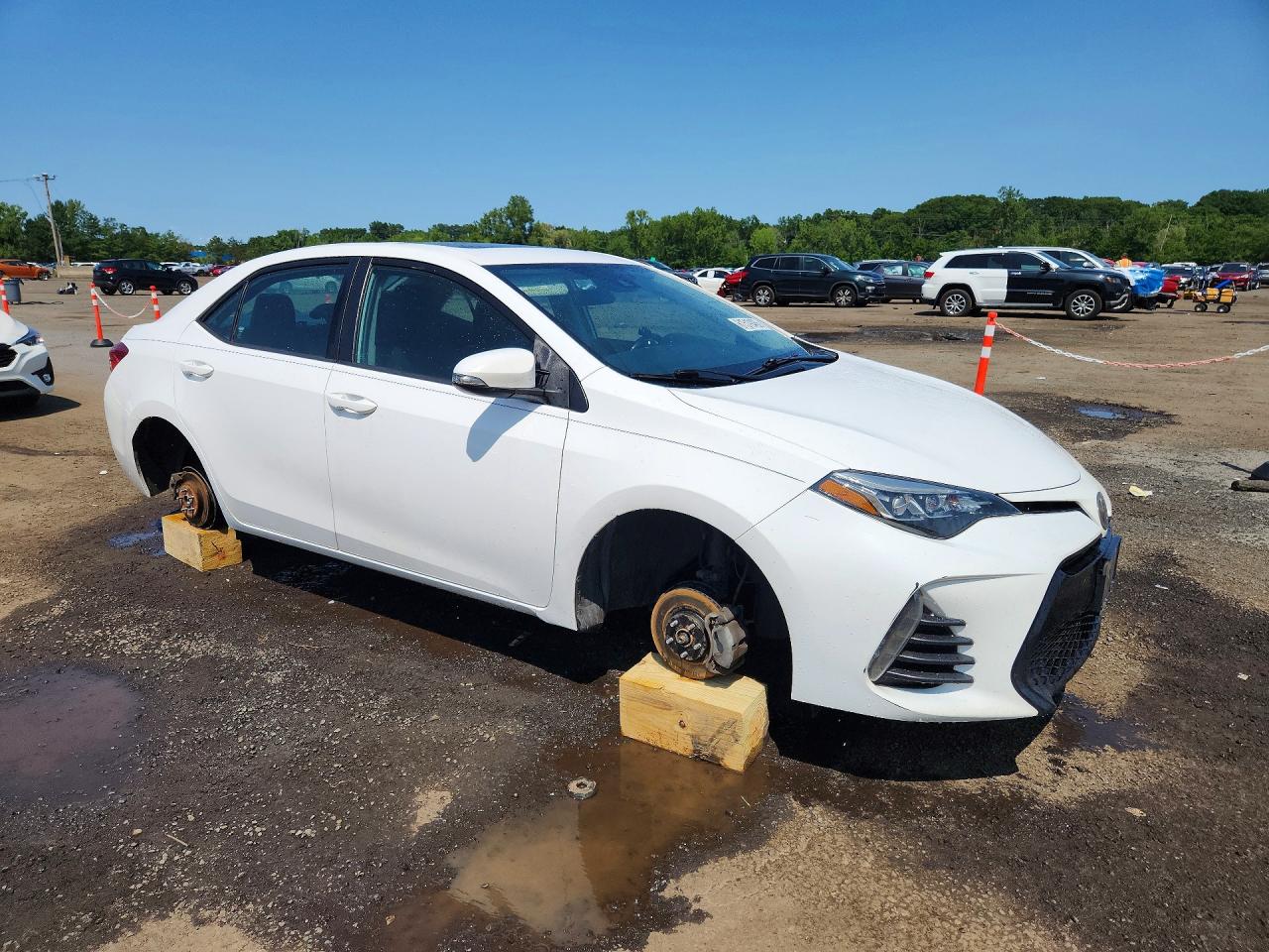 2019 TOYOTA COROLLA