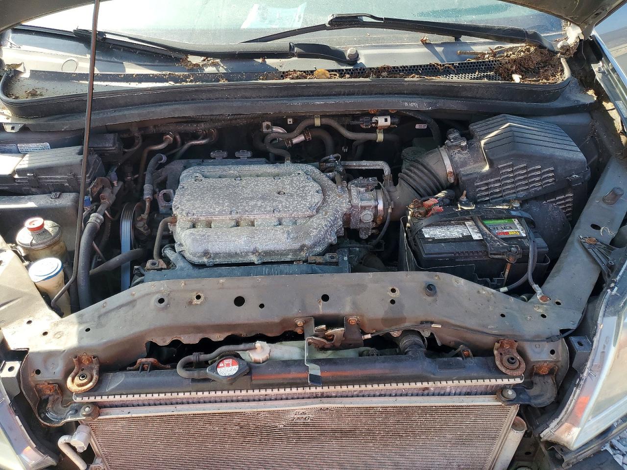 2010 HONDA ODYSSEY