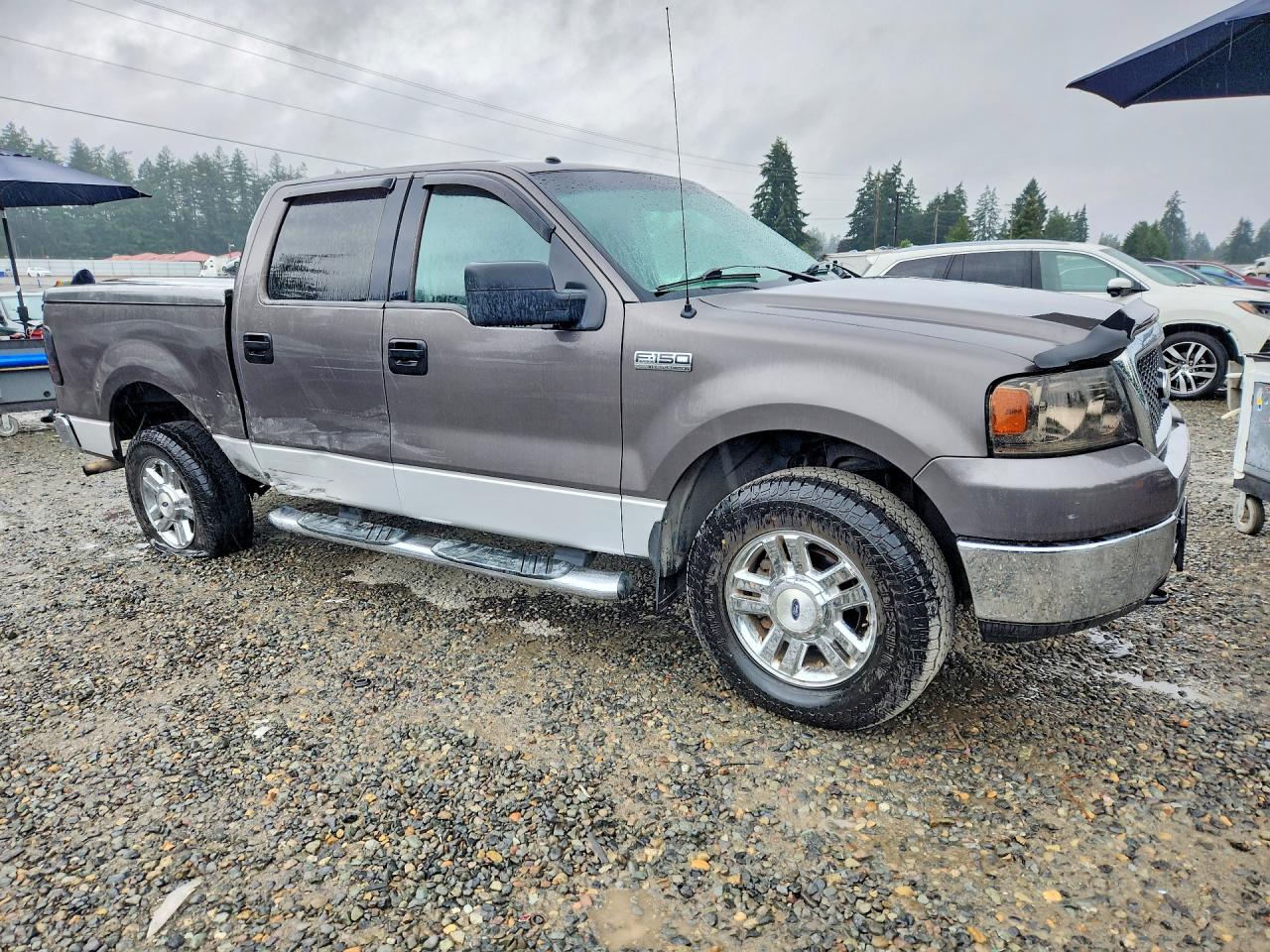2006 FORD F150