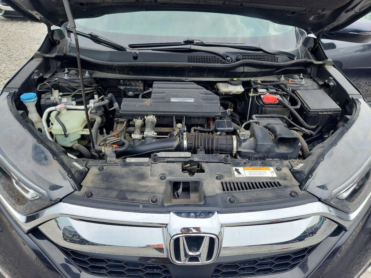 2019 HONDA CRV